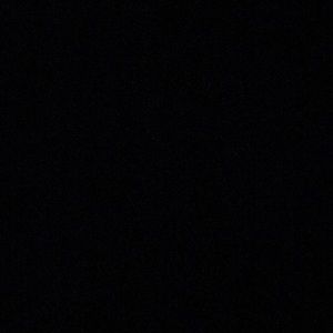 Meet your Posher, Terrell